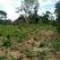  Terrain for sale in Amazonas, Autazes, Amazonas