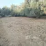  Land for sale in Morocco, Al Haouz, Marrakech Tensift Al Haouz, Morocco