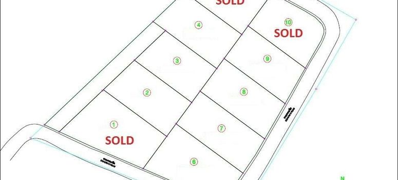 Master Plan of Jungle Paradise Villas - Photo 1