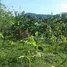  Land for sale at Puerto Plata, San Felipe De Puerto Plata, Puerto Plata, Dominican Republic