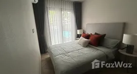 ยูนิตมือสองและให้เช่า