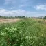  Land for sale in Bang Phriang, Samut Prakan, Bang Phriang, Bang Bo, Samut Prakan
