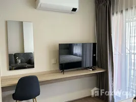1 Bedroom Condo for rent at The Muve Bangna, Bang Na, Bang Na, Bangkok, Thailand