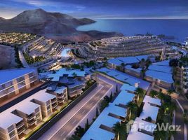 Studio Apartment for sale at IL Monte Galala, Al Ain Al Sokhna, Suez