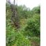  Land for sale at Jaco, Garabito