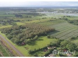  Land for sale in Alajuela, Los Chiles, Alajuela