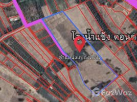  Terrain for sale in Lamphun, Mae Raeng, Pa Sang, Lamphun