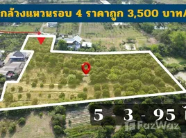 ขายที่ดิน ใน บ้านธิ, ลำพูน, บ้านธิ, บ้านธิ, ลำพูน