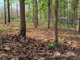  Land for sale in Thailand, Sop Poeng, Mae Taeng, Chiang Mai, Thailand