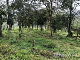  Land for sale in Turrialba Cartago, Turrialba, Cartago, Costa Rica