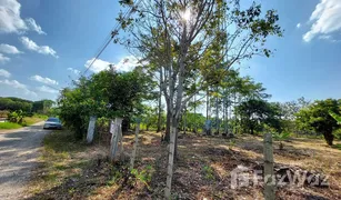 N/A Land for sale in Nong Phueng, Chiang Mai 