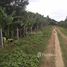 Kyaukse, မန္တလေးတိုင်းဒေသကြီး Land for sale in Za Yat Hpyu, Mandalay တွင် N/A မြေ ရောင်းရန်အတွက်