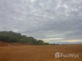 Alajuela Amazing View Land Plot for Sale in Alajuela N/A 土地 售 