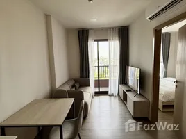 คอนโด 1 ห้องนอน ให้เช่า ในโครงการ เนีย บาย แสนสิริ, พระโขนงเหนือ