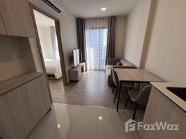 1 Bedroom Apartment for rent at NIA By Sansiri, Phra Khanong Nuea, Watthana