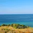  Tanah for sale in Indonesia, Pandawai, Sumba Timur, East Nusa Tenggara, Indonesia