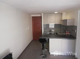 1 Bedroom Apartment for rent at Santiago, Puente Alto, Cordillera, Santiago