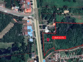 ขายที่ดิน ใน นางั่ว, เพชรบูรณ์, นางั่ว