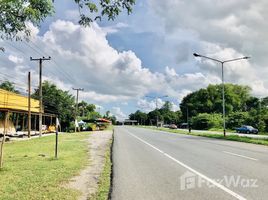 ขายที่ดิน ใน ม่วงหวาน, ขอนแก่น, ม่วงหวาน