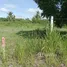  Land for sale in Hua Hin Prachuap Khiri Khan, Thap Tai, Hua Hin, Prachuap Khiri Khan