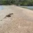 Land for sale in Pa Khlok, Phuket, Pa Khlok, Thalang, Phuket