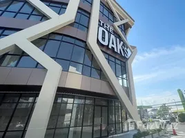 ร้านขายของ สตูดิโอ ให้เช่า ในทำเล บางนา, กรุงเทพมหานคร, บางนา, บางนา, กรุงเทพมหานคร