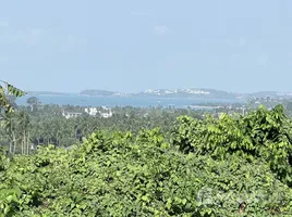 ขายที่ดิน ใน แม่น้ำ, สุราษฎร์ธานี, แม่น้ำ, เกาะสมุย