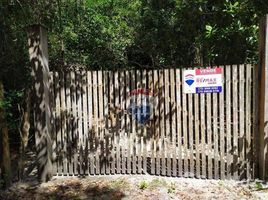  Grundstück zu verkaufen in Porto Seguro, Bahia, Trancoso, Porto Seguro, Bahia