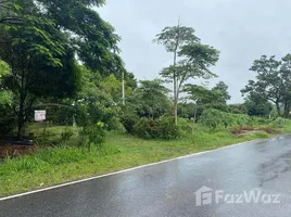  Land for sale in Nakhon Ratchasima, Khanong Phra, Pak Chong, Nakhon Ratchasima