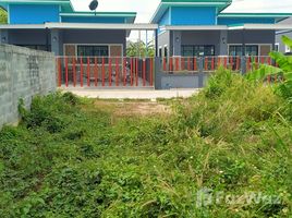  Grundstück zu verkaufen in Pluak Daeng, Rayong, Pluak Daeng, Pluak Daeng, Rayong