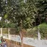  Terreno (Parcela) en venta en Kebon Jeruk, Jakarta, Kebon Jeruk, Jakarta Barat