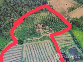 ขายที่ดิน ใน สีคิ้ว, นครราชสีมา, สีคิ้ว, สีคิ้ว, นครราชสีมา, ไทย