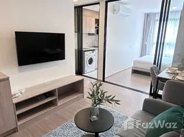 คอนโด 1 ห้องนอน ให้เช่า ในโครงการ เดอะ เบส บูกิต, วิชิต