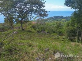  Terrain for sale in Puntarenas, Aguirre, Puntarenas