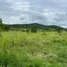  Land for sale in Thap Tai, Hua Hin, Thap Tai