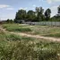  Land for sale in Chiang Rak Noi, Phra Nakhon Si Ayutthaya, Chiang Rak Noi