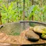 在印度尼西亚 / 印度尼西亞出售的 屋, Ubud, Gianyar, 里岛, 印度尼西亚 / 印度尼西亞