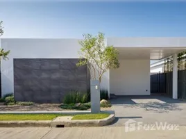 ขายวิลล่า 3 ห้องนอน ในโครงการ โรชาเลีย เรสซิเดนซ์, สันผักหวาน, หางดง