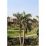 7 Bedroom Condo for sale at Arabella, The 5th Settlement, New Cairo City, Cairo, Egypt