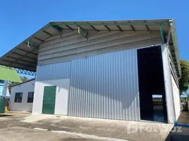 3 침실 창고 및 공장을(를) FazWaz.co.kr에서 판매합니다., 팍 남, Mueang Rayong, 레이옹, 태국