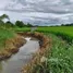  Land for sale in Sop Tia, Chiang Mai, Sop Tia, Chom Thong, Chiang Mai