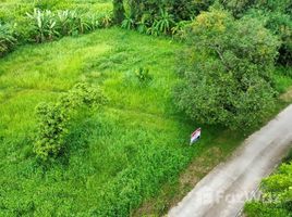 ขายที่ดิน ใน เกาะขวาง, จันทบุรี, เกาะขวาง, เมืองจันทบุรี, จันทบุรี, ไทย