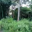  Land for sale in Chomphu, Lampang, Chomphu, Mueang Lampang, Lampang