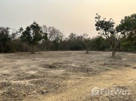  Land for sale in San Klang, San Pa Tong, San Klang