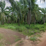  Land for sale in Songkhla, Khlong Hoi Khong, Khlong Hoi Khong, Songkhla