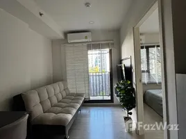 คอนโด 1 ห้องนอน ให้เช่า ในโครงการ เอสเซ็นท์ พาร์ควิลล์ เชียงใหม่, ฟ้าฮ่าม, เมืองเชียงใหม่, เชียงใหม่, ไทย