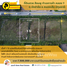  Земельный участок for sale in Bueng Cham O, Патумтани, Bueng Cham O
