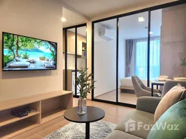 1 Bedroom Apartment for rent at THE BASE Bukit, Wichit, Phuket Town