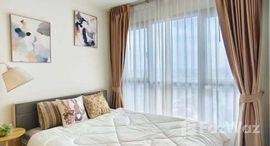 ยูนิตมือสองและให้เช่า