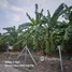  Land for sale in Lak Si Bangkok, Thung Song Hong, Lak Si